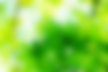 Fototapeta na wymiar green bokeh abstract light background