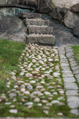 paved road and stone stairs