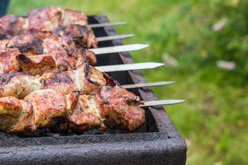 BBQ meat on grill in garden