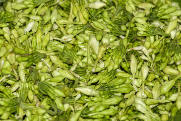 loroco flower guatemala food