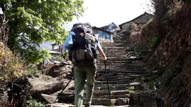 Female trekker with backpack walks up the stone staircase to trekking lodge on the way to Poon Hill in Annapurna circuit trek