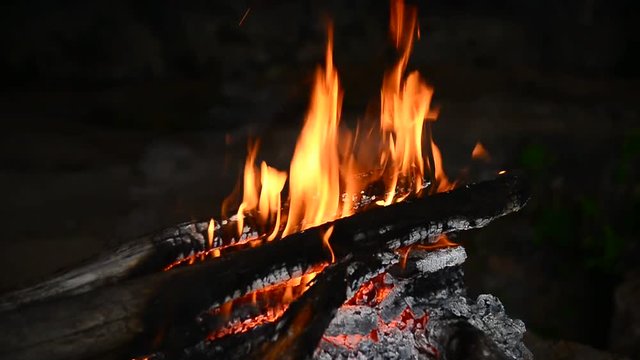 kampta odun ateşi & ateş yakmak