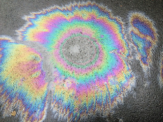 Oil spill on asphalt 