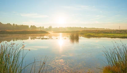 Photo sur Plexiglas Lac / étang Rive d& 39 un lac au lever du soleil en été