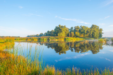 Shore of a lake at sunrise in summer