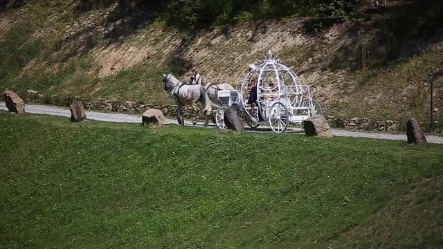 Wedding Carriage Heading for Princess Castle. HD Slow motion 50fps