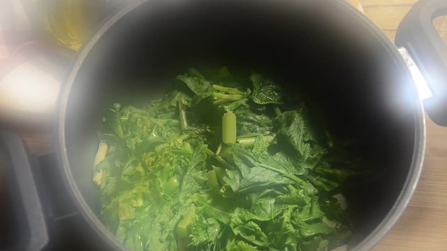 Brassica rapa sylvestris St&auml;ngelkohl Cime di rapa Friarielli Ŝosbrasiko Turnip greens Broccoletti 