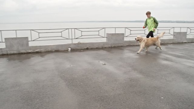 Teenage boy in sportswear running with lovely dog along pier at autumn day and playing with him