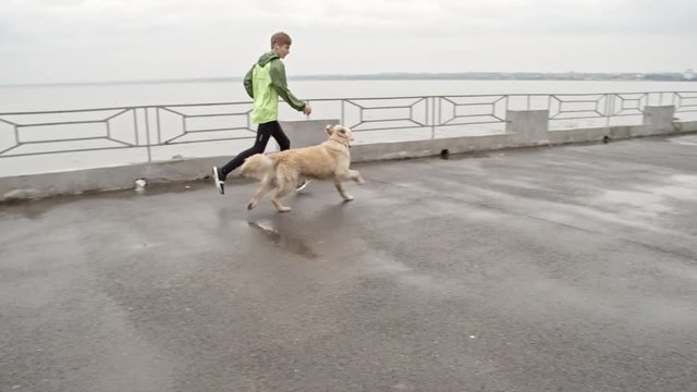 Side view of young boy running with playful retriever along pier at autumn day and holding red ball