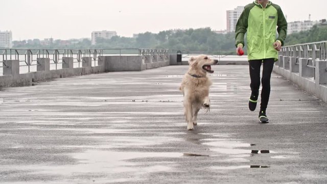 Boy running towards the camera along pier at cold autumn day with lovely excited retriever and holding toy ball