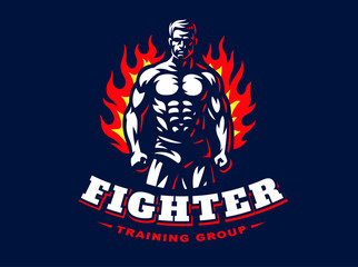 Fighter emblem illustration on dark background