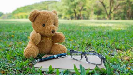 Brown teddy sitting on lawn