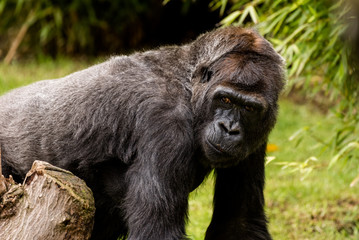 Juan José Martínez Palacio