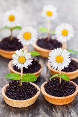 Homemade  chocolate caramel tartlets with poppy seeds and sugar.