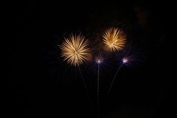 Fototapeta premium Fireworks