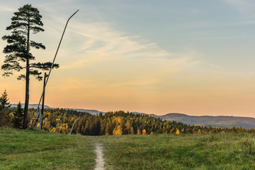 Automn at its finest