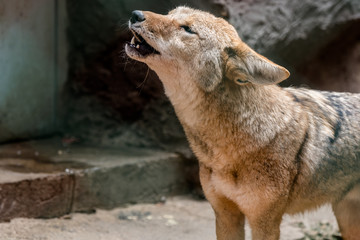 Juan José Martínez Palacio