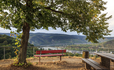 Obraz premium View from Cäcilienhöhe onto the River Rhine and the Upper Middle Rhine Valley