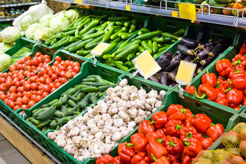 Vegetables on the counter in the store - cabbage, cucumbers, tomatoes, garlic, eggplant, pepper