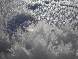 Close up of snow, with visible snow crystals