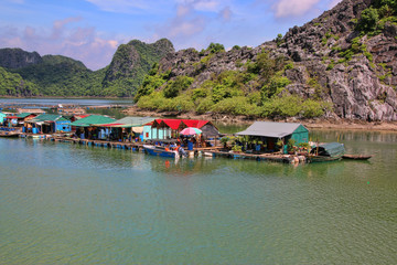 Fototapeta premium baie d' ha long