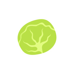 Cabbage icon in cartoon style isolated on white background vector illustration