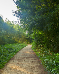 salburua park view in the city of vitoria