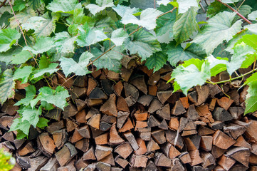 background of firewood stack with grape leaves