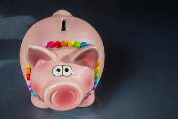 Pig piggy bank on a gray background