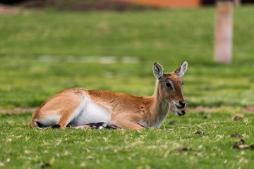 Juan José Martínez Palacio