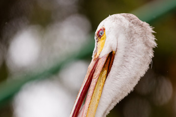 Juan José Martínez Palacio