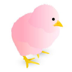 酉　ひよこ　年賀状　アイコン 