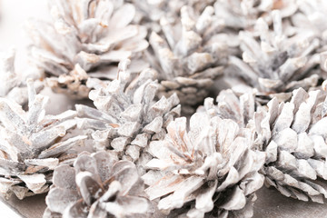 Grunge background of pine cones. Pine Cones