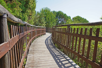 Obraz premium wooden walkway