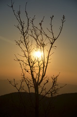 Sunset in the Golan Heights