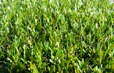 Astroturf much appreciated by manufacturers less appreciated by