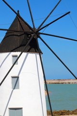Obraz premium Quintin Mill in the Salinas de San Pedro del Pinatar, Spain