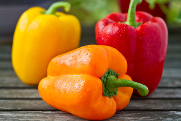 Fresh Bell Peppers