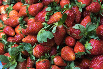 organic strawberry in Guatemala