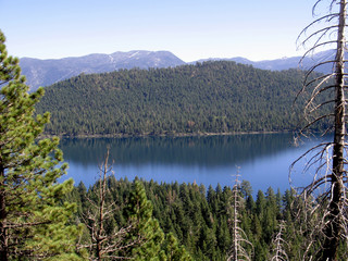 Fallen Leaf Lake/Fallen Leaf Lake and forest in California