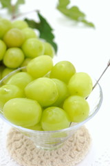 シャインマスカット