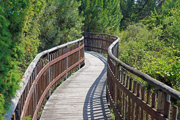 wooden walkway