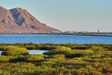 Parque Natural y Salinas del Cabo de Gata, Almeria