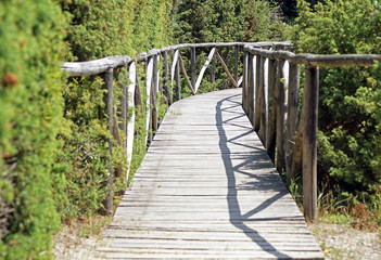 Obraz premium wooden walkway