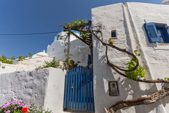 white houses with flowers in town of Parakia, Paros island, Cyclades, Greece