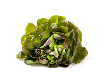 Organic Red Oakleaf lettuce