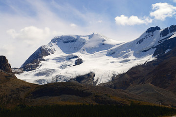 The celebrated Athabasca glacier