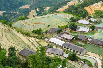 Beautiful terraced rice field in Hoang Su Phi in Vietnam