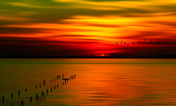 Surreal and abstract sunset of an old pier with birds flying in orange background