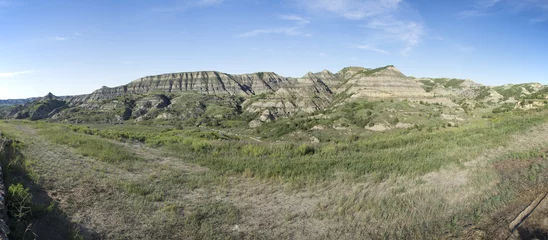 Foto op Canvas Theodore Roosevelt National Park Panoramic © IcemanJ